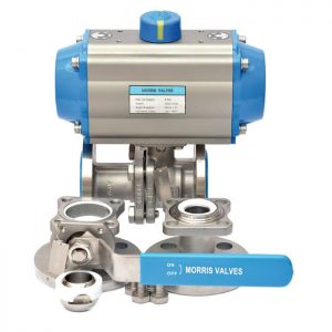CAVITY FILLED, BALL VALVES